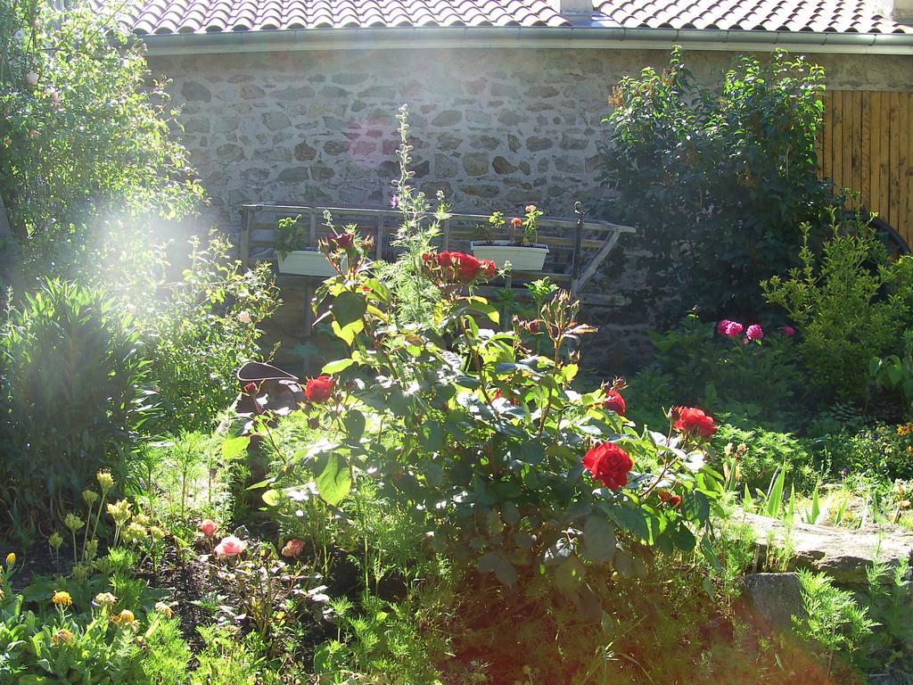 Cellier De La Fontaine Villa Saint-Georges-en-Couzan Szoba fotó