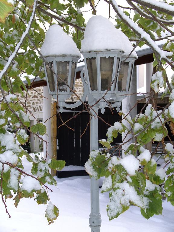 Cellier De La Fontaine Villa Saint-Georges-en-Couzan Szoba fotó